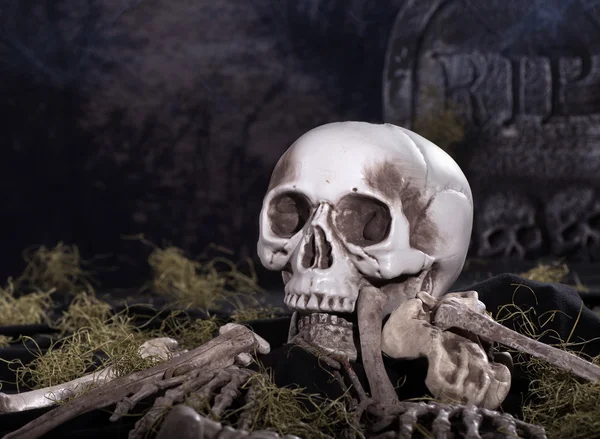 Halloween Skull and Bones