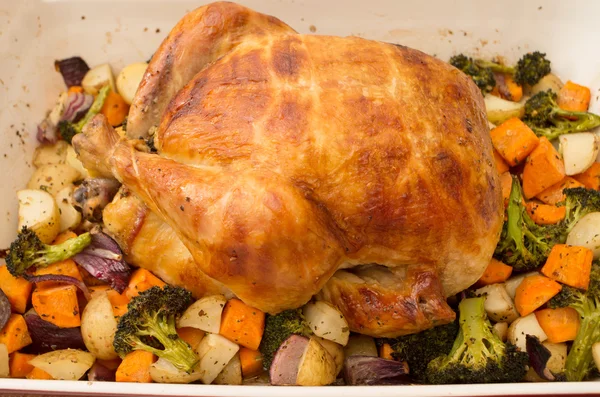 Roasted turkey plate with mixed vegetables