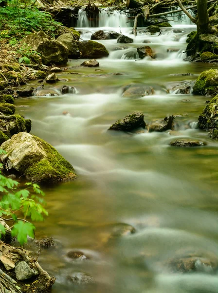 Zadiel valley - stream in forest