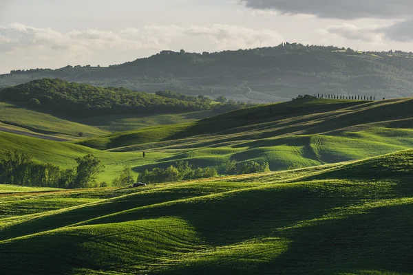 Green landscape in pensive spring season.