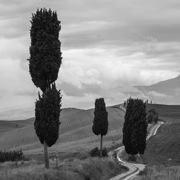 Beautifully shaped roads and fields in the landscape.