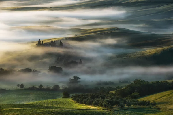 Fantastic landscape in the mists of light painted. Spring landsc