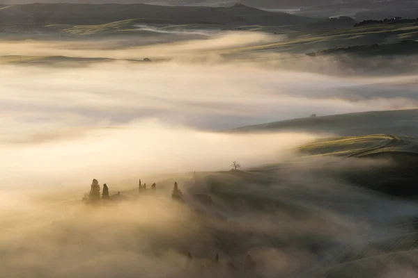 Fantastic landscape in the mists of light painted. Spring landsc