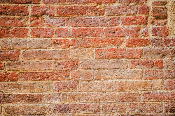 Beautiful standing wall with a red bricks as background