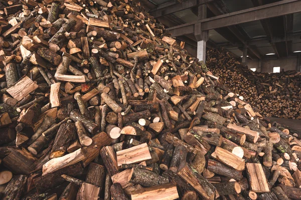 Firewood in a piece of wood stored on the stack, hands holding a