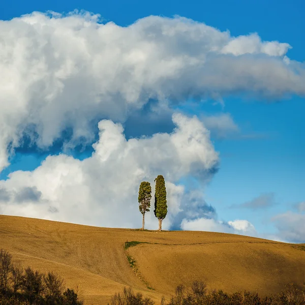 Tuscany with two cypress trees and clouds in the background