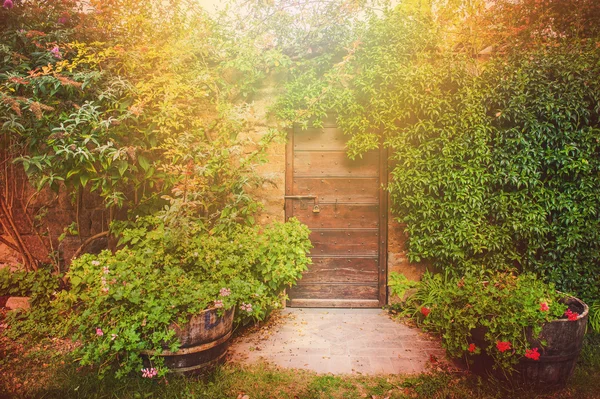 The door to the magic world, Tuscany