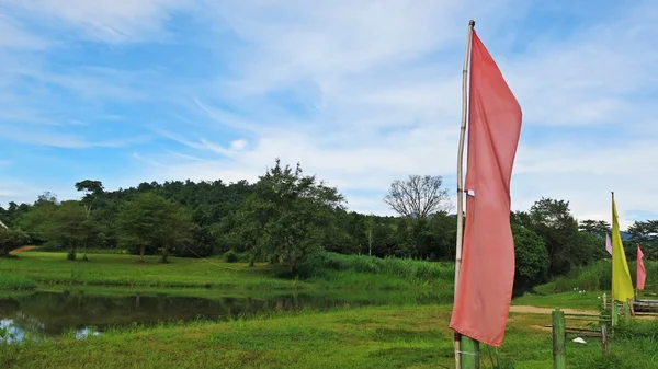 Pink and yellow flag with green natural grass land and blue sky background