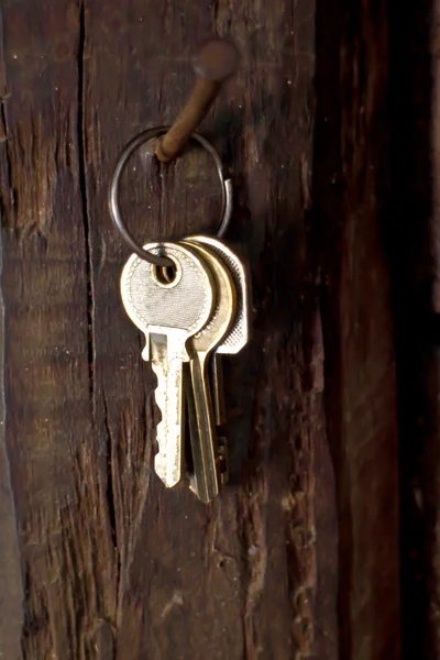 Keys hanging of rusty tack  on wooden background