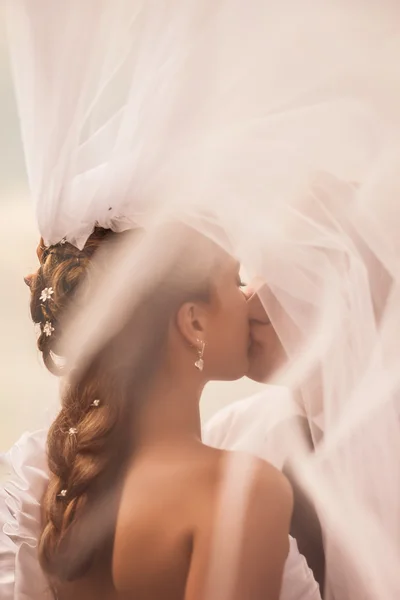 The bride kisses the groom under the veil. Art abstract blurred