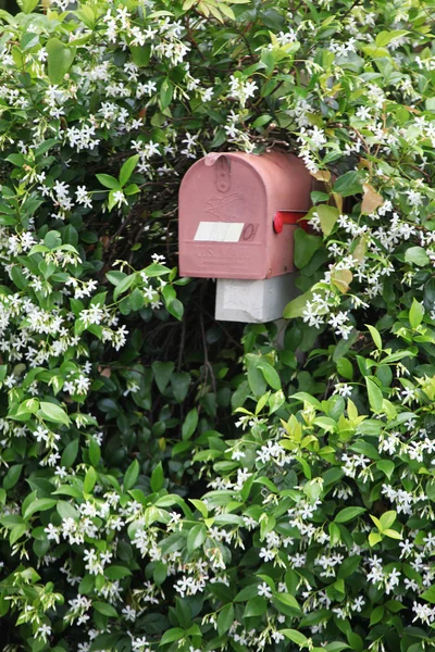 Mail box