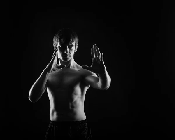 Kung Fu kata. Self-defense techniques.