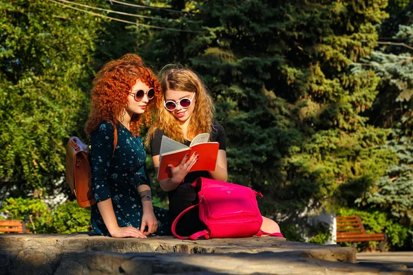 Students read a book in park.