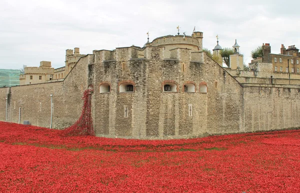 Blood Swept Lands and Seas of Red Poppies at Tower of London