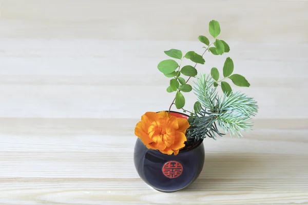 Orange flower, branches of blue spruce and shrubs in a Cup