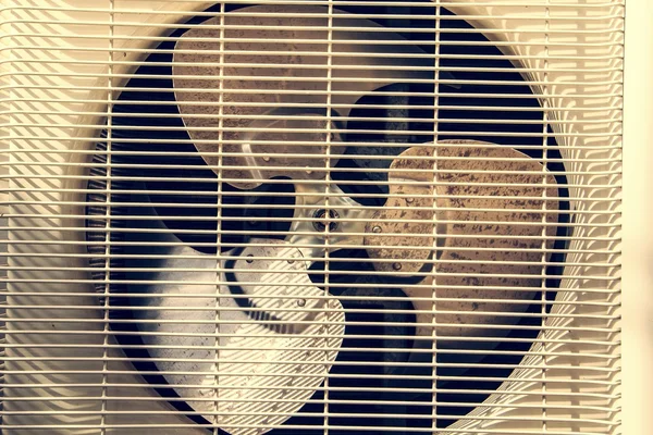 The fan air