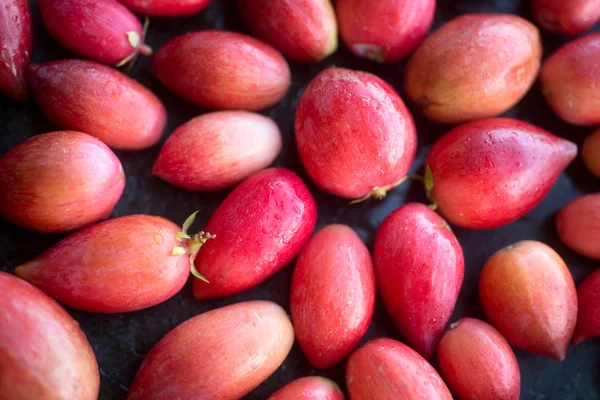 South African carissa carandas fruits