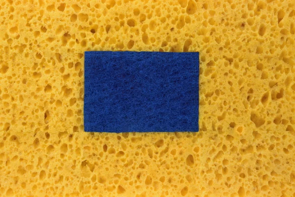 New Absorbent Sponge Absract Background With Copy Space