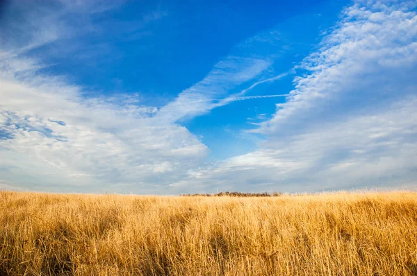 Blue sky, yellow plai