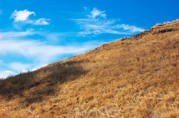 Blue sky, brown slop