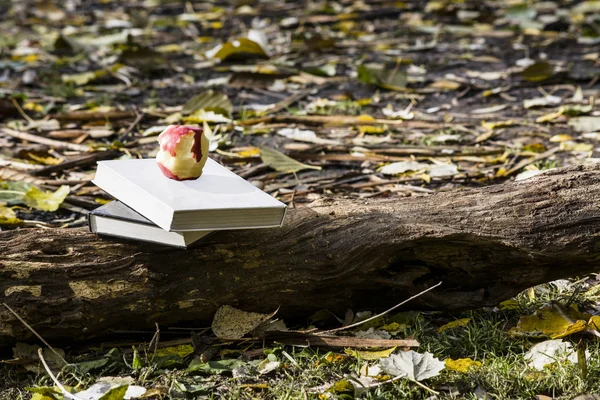 Apple and books on nature