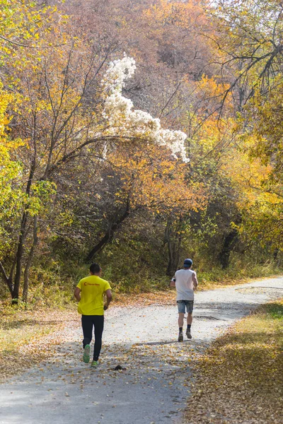 ALMATY,ALMATY DISTRICT, KAZAKHSTAN-OCTOBER 10, 2015: A large group of people participating in a sporting event, on the competition trail running Alatau Train Run 2016, in the national reserve Yunats