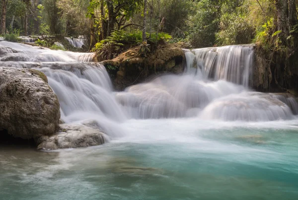 Waterfall in deep rain forest jungle