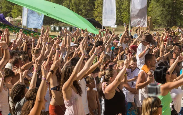 A large number of people in the colorful outdoor festival