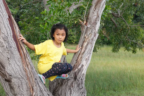 Cute girl playing climb the tree. and she is on the tree