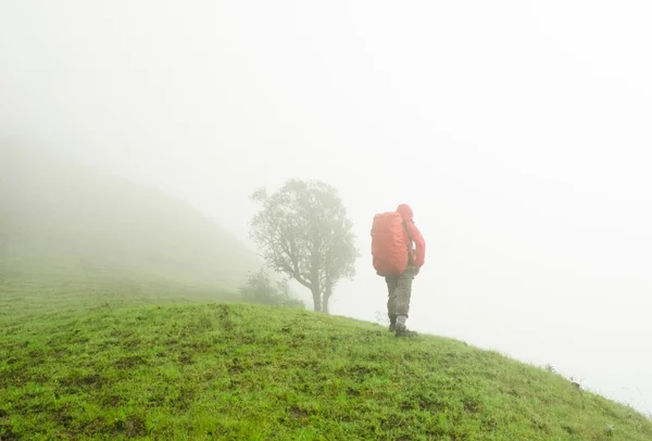 Man standing in the fog