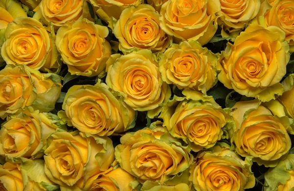 Bouquet of freshly cut large yellow roses