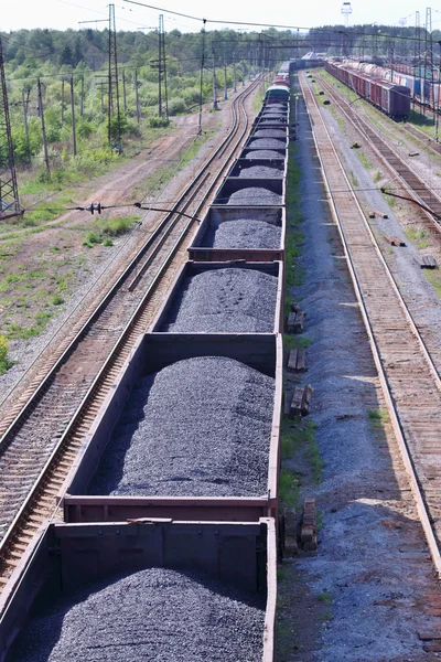 Wagons with coal and railroad tracks near forest