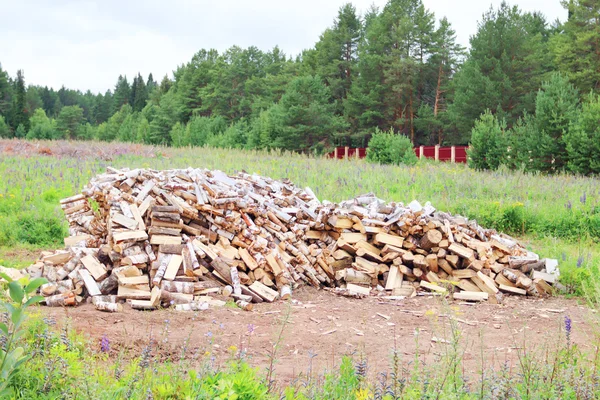 Big pile of birch wood in clearing surrounded by fence and green