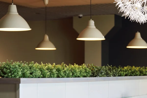 Modern simple lamps with shades  in empty cafe with green plants