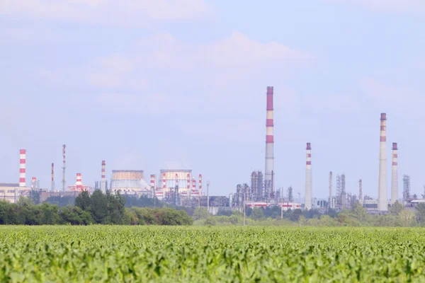 Green field with corn and Oil Refinery with pipes on horizon