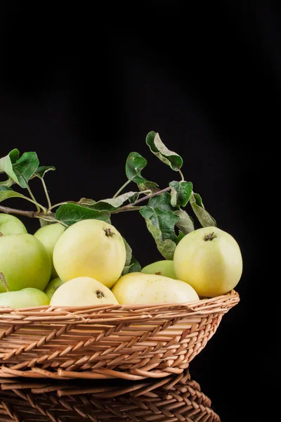 Summer green apples on a black background