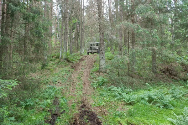 American old car Dodge WC-51 rides in the forest on the hard road, 3rd international meeting \