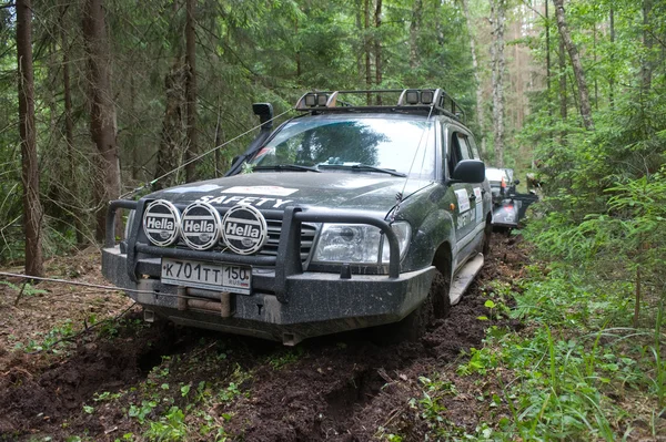 Off-road vehicle Toyota Land Cruiser on a forest road, 3rd international meeting \