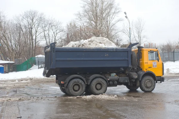 Yellow dump truck MAZ about negotable on snow-melting point, Moscow