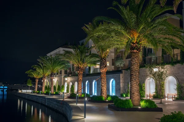 Palm trees at night in the marina Porto Montenegro in Tivat, Montenegro