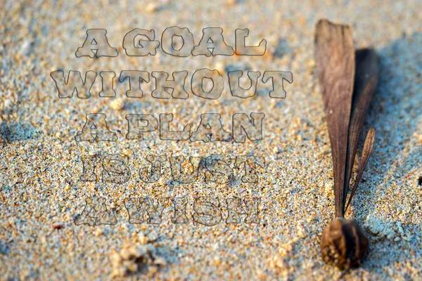 Life quote. Inspirational quote on sand background with plant seed, similar to an exclamation mark. Motivational typography. Uneven transparent font. A goal without a plan is just a wish.