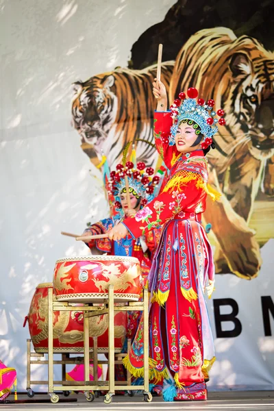 Moscow, Russia - July 31, 2016: the performance of the Chinese show Golden Dragon Drumpst in the open air during the celebration of the international tiger day in Moscow. Drummer woman.