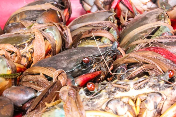 Fresh serrated mud crab black in seafood market