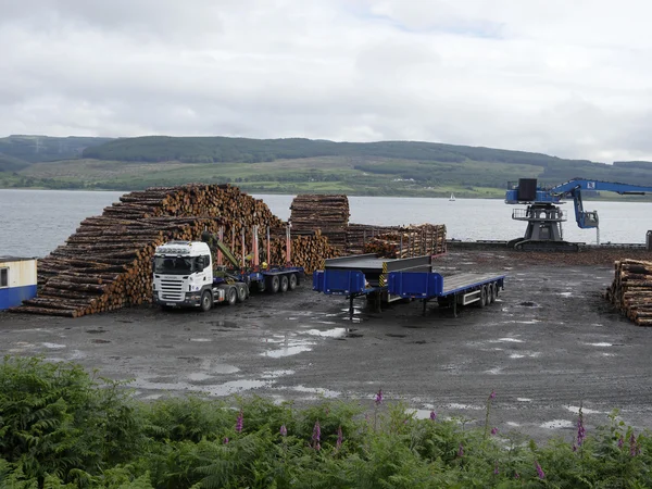 Timber at port, Isle of Mull