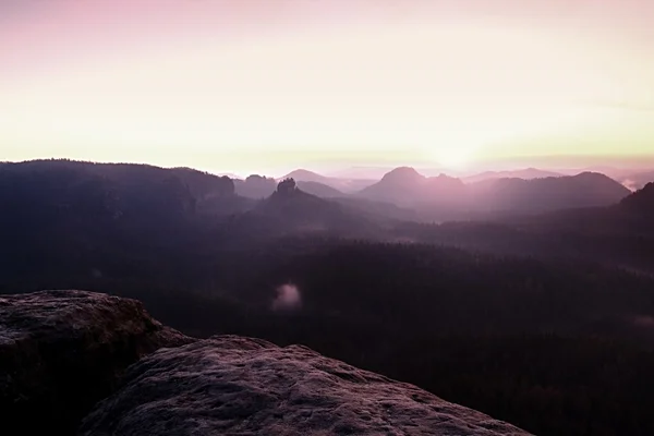 Dreamy misty morning in  forest landscape. Majestic peaks cut lighting mist. Deep valley