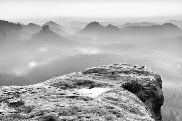 Dreamy misty morning in  forest landscape. Majestic peaks cut lighting mist. Deep valley