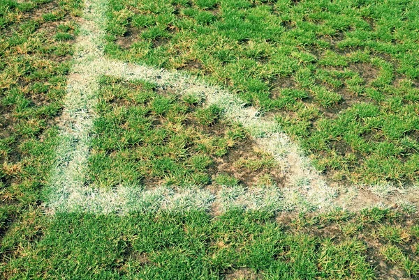 Corner of football playground, natural grass