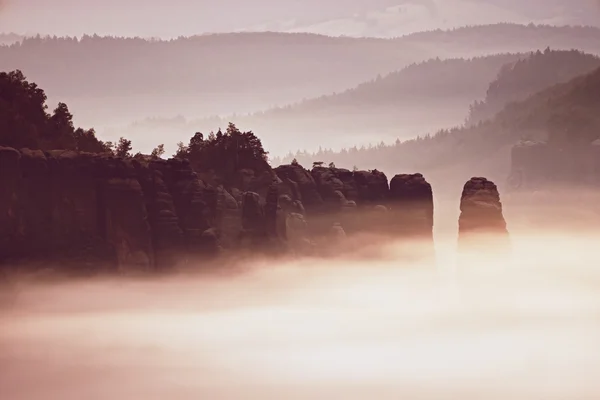 Dreamy misty forest landscape. Majestic peaks of rocks cut lighting mist. Deep valley