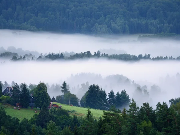 Magnificent heavy mist in landscape. Autumn creamy fog in countryside. Hill increased from fog,