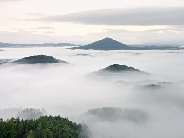 Heavy mist in landscape. Magnificent  autumn creamy fog